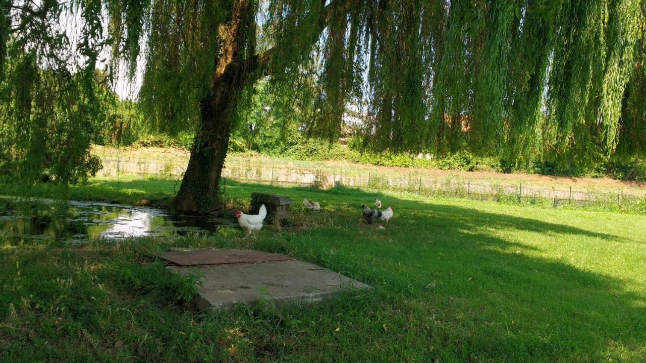 Agriturismo Cascina Poscallone Abbiategrasso Luaran gambar